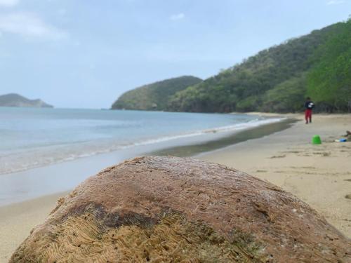 una roca en la playa con una persona en el fondo en HOSTAL OLAS CLUB DE NEGUANJE -TAYRONA en Santa Marta