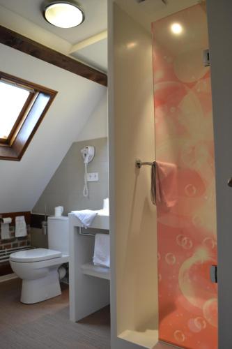 a bathroom with a shower with a toilet and a sink at Le Domaine des Cigognes in Ennevelin