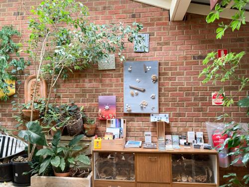 a brick wall with a table with plants on it at Edge Of The Forest Motel in Margaret River Town