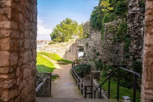 Apartments in Porec - Istrien 49823