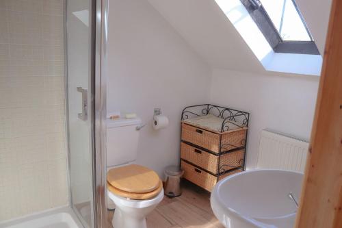 a bathroom with a toilet and a shower and a sink at Arthurs Cottage - rural hideaways in Norfolk in Edingthorpe