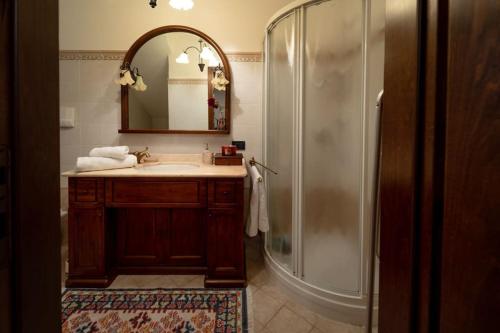 泰瑟拉的住宿－c.s. veniceflat Apartment - Venice - Apt Vce - 15' from Venice，带淋浴、盥洗盆和镜子的浴室