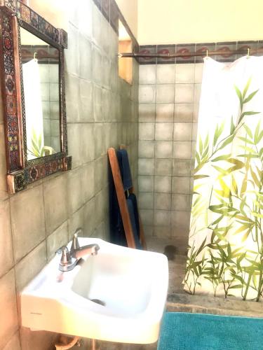 a bathroom with a white sink and a mirror at The Traveler Palm B and B in El Limón