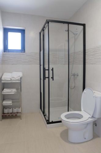 a bathroom with a toilet and a glass shower at Las casinas de Piedralba in Piedralba