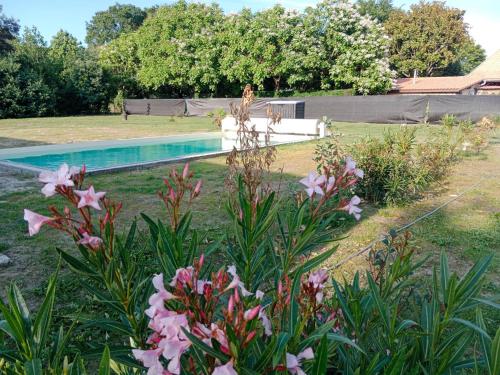 Fotografie z fotogalerie ubytování MAISON 9 COUCHAGES AVEC PISCINE v destinaci Soustons