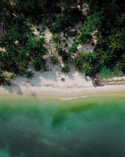 an aerial view of a beach with trees and the water at Hotel Cielo y Selva in Punta Allen