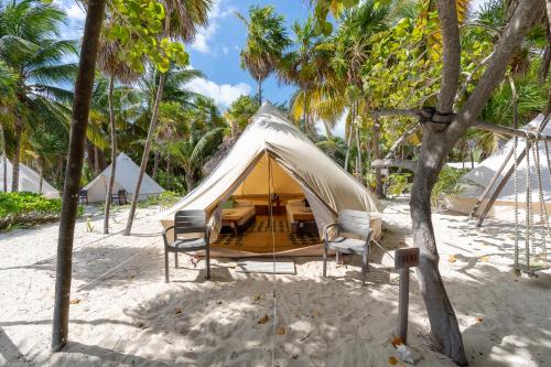 uma tenda numa praia com cadeiras e palmeiras em Hotel Cielo y Selva em Punta Allen