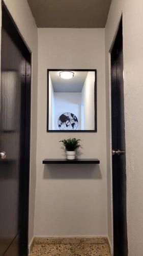a hallway with a mirror and a plant on a wall at Trujillo Alto Quiet and Cozy, Fully Equipped and Pet-Friendly in Trujillo Alto