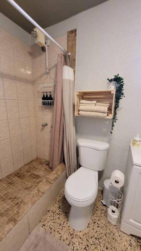 a bathroom with a toilet and a shower at Trujillo Alto Quiet and Cozy, Fully Equipped and Pet-Friendly in Trujillo Alto