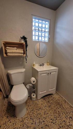 a bathroom with a toilet and a sink and a mirror at Trujillo Alto Quiet and Cozy, Fully Equipped and Pet-Friendly in Trujillo Alto