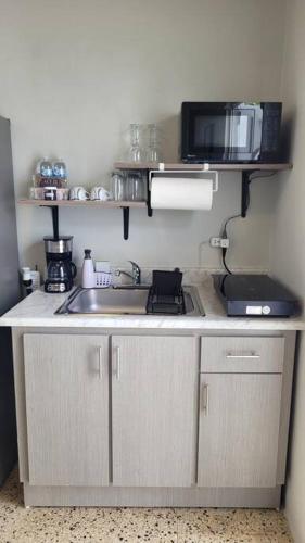 a kitchen with a sink and a microwave at Trujillo Alto Quiet and Cozy, Fully Equipped and Pet-Friendly in Trujillo Alto