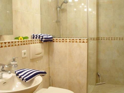 a bathroom with a shower and a toilet and a sink at Landhaus-am-Golfplatz-9 in Sankt Peter-Ording