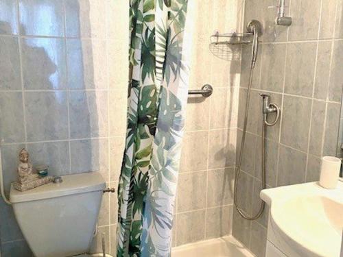 une salle de bain avec une douche avec des toilettes et un lavabo dans l'établissement Joli studio équipé pour 2, proche thermes, centre-ville d'Amélie-les-Bains - FR-1-703-173, à Amélie-les-Bains-Palalda