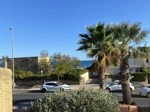 Magnifique F2 Mezzanine avec terrasses et parking à Palavas - FR-1-559-32