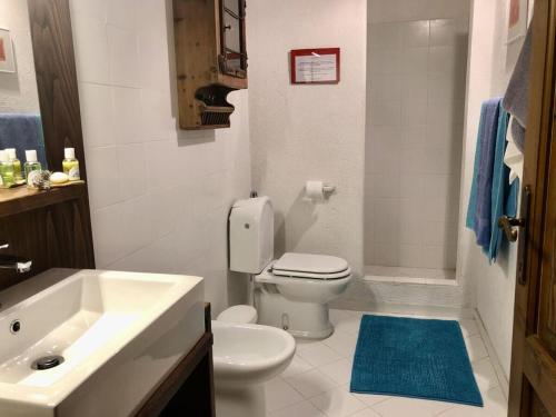 baño con aseo blanco y alfombra azul en Holiday apartment Casa Serena, en Caldana