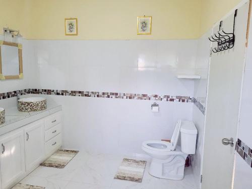 a white bathroom with a toilet and a sink at Jay's Chill Paradise in Yallahs