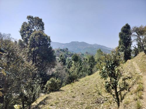 a hillside with trees and mountains in the background at Francolin Lodge-Farmstay @ Darima in Mukteswar