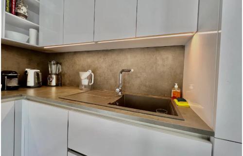 a kitchen with a stainless steel sink and white cabinets at Large 4-room Town Center Near Monaco in Beausoleil