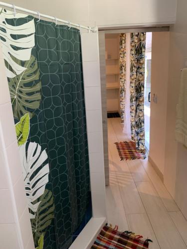 帕皮提的住宿－A TOMO MAI Homestay，一间带淋浴的浴室和绿色的墙壁