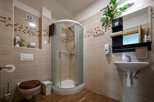a bathroom with a shower and a toilet and a sink at Vinný sklep u Křížů in Milotice