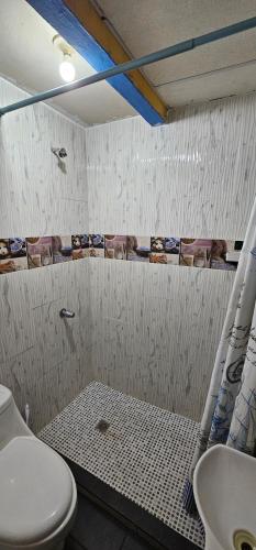 ein Bad mit einer Dusche, einem WC und einem Waschbecken in der Unterkunft La Casa de Diego in Santa Ana