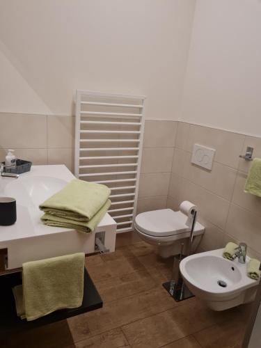 a bathroom with a sink and a toilet at Versigglhof in Appiano sulla Strada del Vino