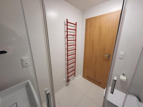a bathroom with a shower and a wooden door at Pension Jitřenka Hřensko - Breakfast Included & Free Parking in Hřensko
