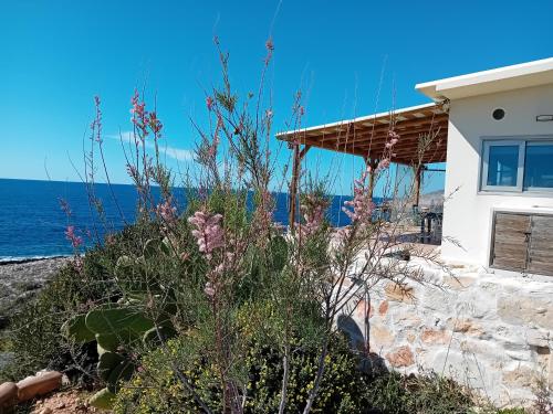 een huis met uitzicht op de oceaan bij White Rock Cave Villa in Kampíon
