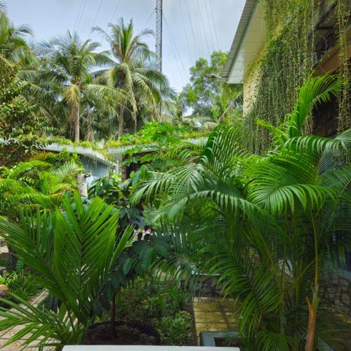 a garden with palm trees and plants at Homestay Bến Tre in Ben Tre