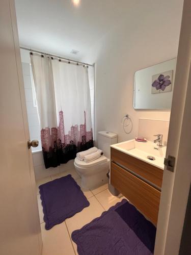 a bathroom with a sink and a toilet and a mirror at Hostal Damatierra in Los Ángeles