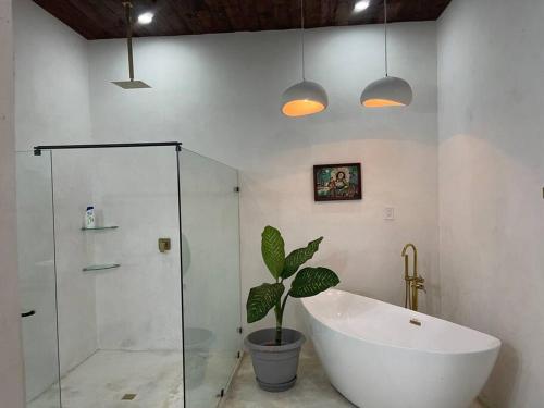 ein Badezimmer mit einer Badewanne und einer Topfpflanze in der Unterkunft CASA LUNA ¡Piscina y Playa! in La Ceiba