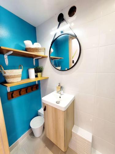 une salle de bain avec un lavabo et un miroir dans l'établissement Le TAMARIS ENTRE MER ET FORET, à La Seyne-sur-Mer