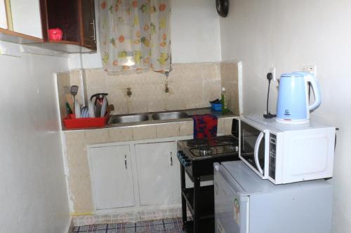 eine kleine Küche mit einer Spüle und einer Mikrowelle in der Unterkunft Chaka Homes in Kiganjo
