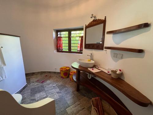 a bathroom with a sink and a mirror at Villa Juliana in Jambiani