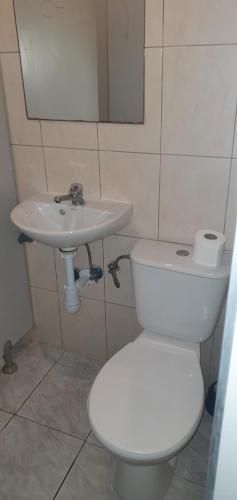 uma casa de banho com um WC branco e um lavatório. em Pokój typu studio dla pracownikow z kuchnią i łazienka em Tomaszów Mazowiecki