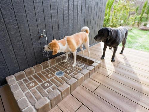 zwei Hunde stehen neben einer Tür in der Unterkunft Rakuten STAY VILLA Nasu Villa Type pet allowed Capacity of 10 persons in Nasu-yumoto