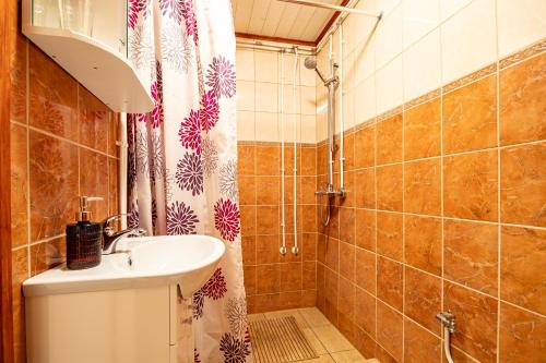 ein Bad mit einem Waschbecken und einer Dusche in der Unterkunft Kauba 6-6 Apartment in Kuressaare