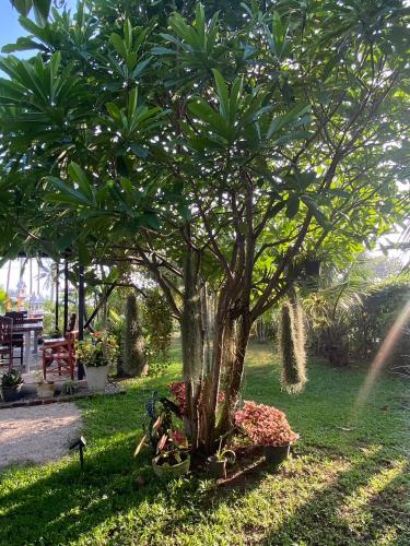 a small tree in a park with flowers at Phangan Hometown Resort - Adults Only in Baan Tai