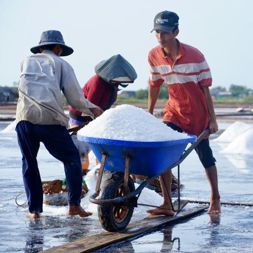 a group of people pushing a wheelbarrow filled with snow at VinaEcolife Lodge in Ba Tri