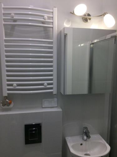 Ванна кімната в Wrzeszcz Studio Apartment