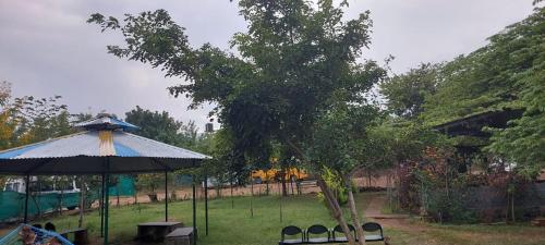 Κήπος έξω από το Green Hills Farm And Guest House