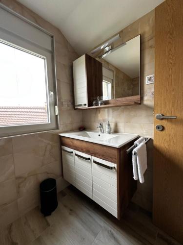 a bathroom with a sink and a mirror at Apartmani Lotus Vrdnik in Vrdnik