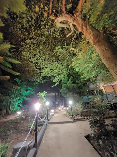Κήπος έξω από το Green Hills Farm And Guest House