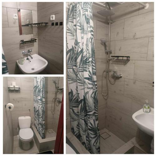 a bathroom with a shower and a toilet and a sink at Malinowy Gaj - Agroturystyka z alpakami i innymi zwierzętami in Świętajno