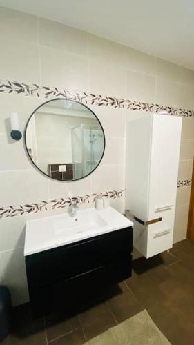 a bathroom with a sink and a mirror at Appt Longwy, très bien situé in Longwy