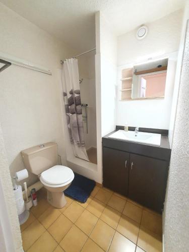 une salle de bain avec toilettes, lavabo et miroir dans l'établissement Champame - C2 - Studio proche pistes - 4 pers, à Les Deux Alpes