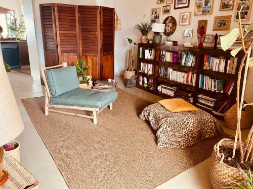 a living room with a chair and a book shelf at Chambre bohème chez Rachel in Pau