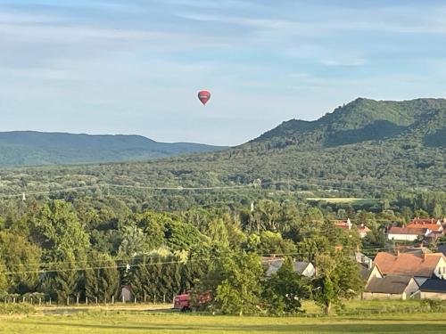 a hot air balloon flying in the sky over a village at Stupa-Rezi-Tatika-Haz in Zalaszántó