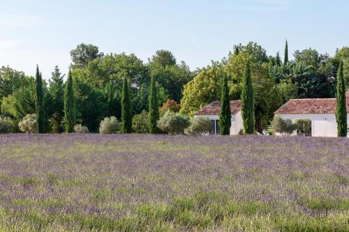 a field of lavender with a house in the background at La Bastide de Damien, 5 clefs Demeure d'Exception et Table Remarquable dans le guide Teritoria, JACUZZI Privatif, Cuisine étoilée Dominique Frérard in Aix-en-Provence