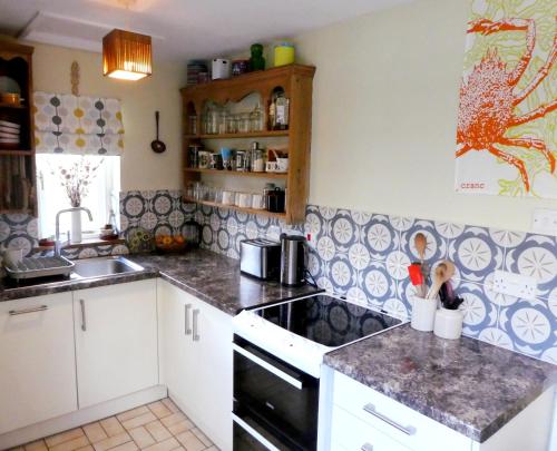 a kitchen with a sink and a stove top oven at Craiglea St Dogmaels in Saint Dogmaels